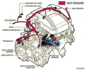 CHEVROLET CAPTIVA 2007-2008 Workshop Manual - Tutalleronline - 6